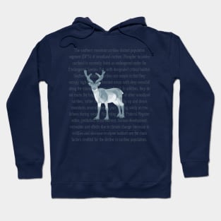 Caribou Information Hoodie